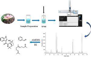 GC - Gas Chromatography